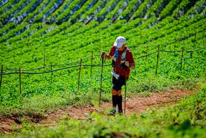 BIB: 
                            <button type="button" onclick="openModal(19163596)" class="btn btn-primary btn-sm float-right btn-popup" data-toggle="modal" data-target=".modal-high-quality">
                        <i class="fas fa-shopping-cart"></i> Add to Cart
                    </button>
                                            <button type="button" onclick="isThisMe(19163596, true)" class="btn btn-success btn-sm float-right btn-popup btn-isme hidden" data-toggle="tooltip" data-placement="bottom" title="นี่คือรูปของคุณใช่ไหม คลิกที่นี่เพื่อเอาเข้าอัลบั้ม">
                        <i class="fas fa-plus"></i> Add to album
                    </button>
                    <button type="button" onclick="isThisMe(19163596, false)" class="btn btn-warning btn-sm float-right btn-popup btn-isnotme hidden">
                        <i class="fas fa-ban"></i> Remove from album
                    </button>